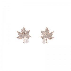 Porta per le orecchie